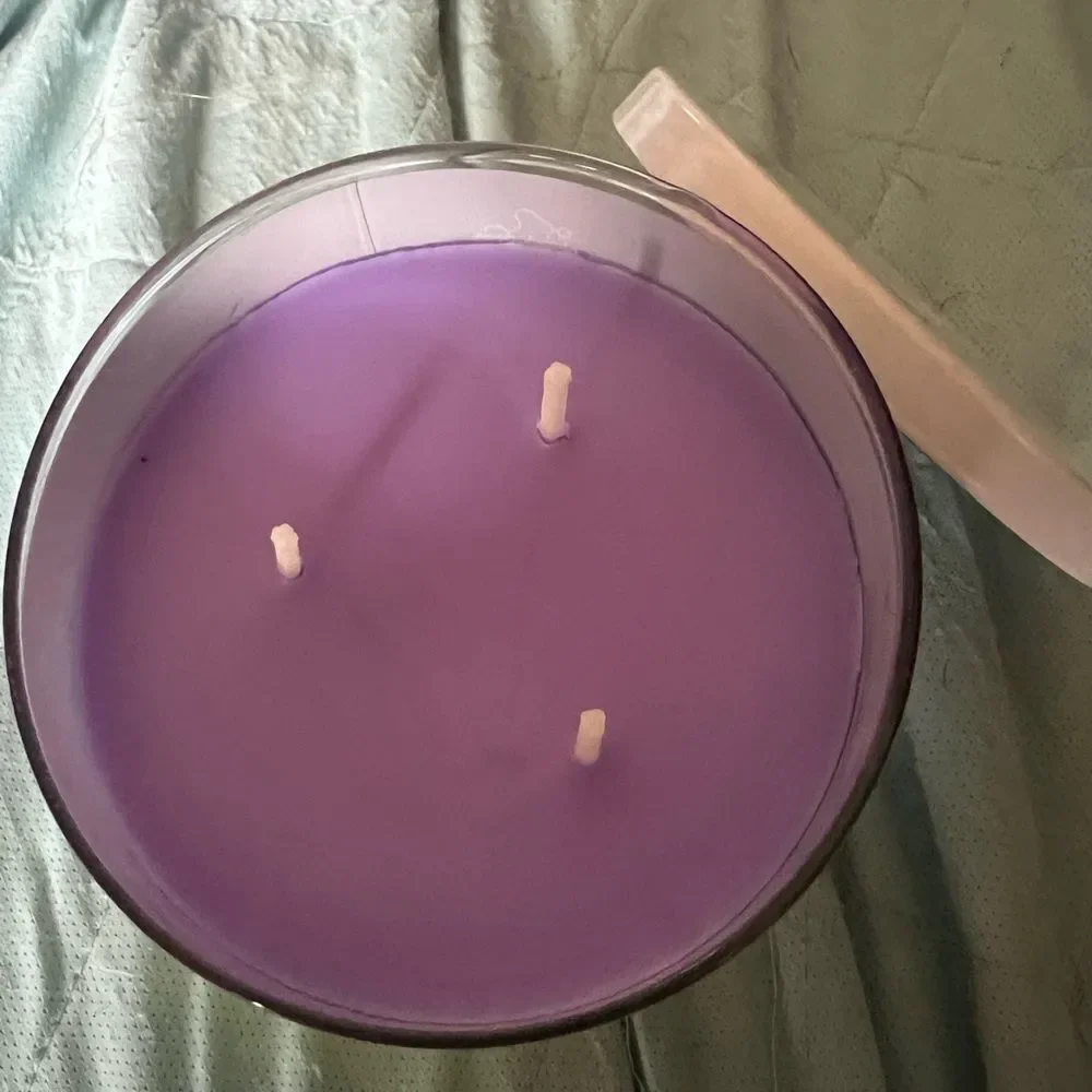 Goose Creek SpongeBob 3 Wick Candle Sandy Cheeks